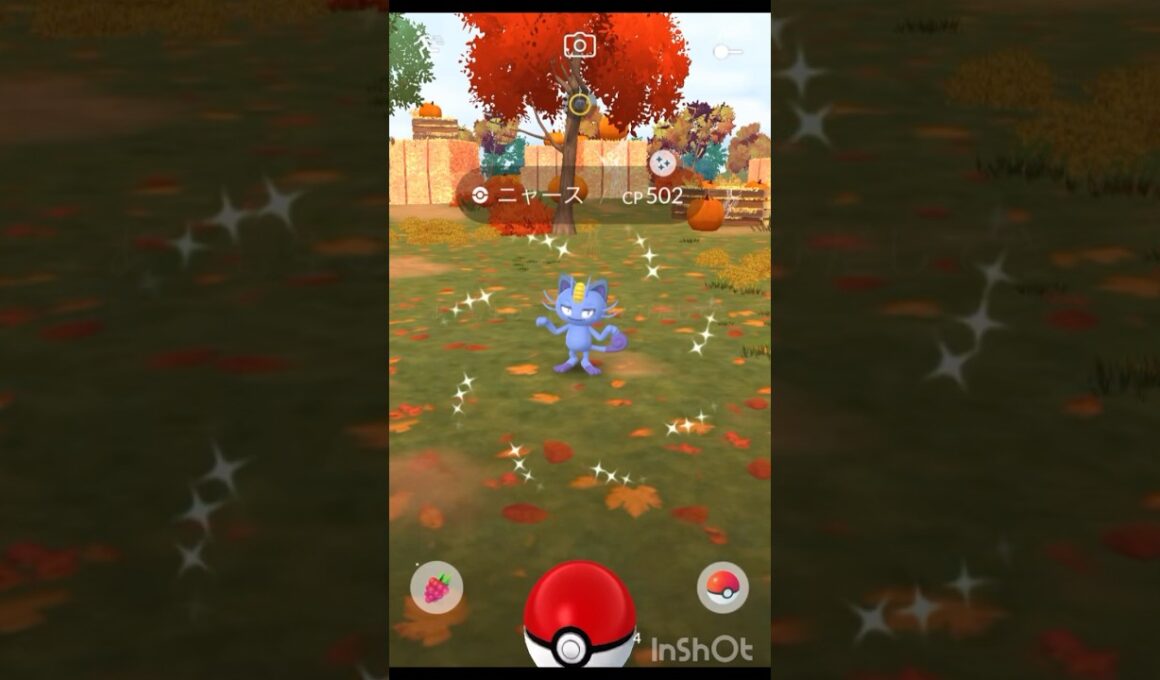 色違い ニャース（アローラのすがた）3匹目getなので！【 ポケモンgo 】 → ペルシアン （アローラのすがた）進化しとくよ！#pokemon #pokemongo #ポケモン #ポケモンgo