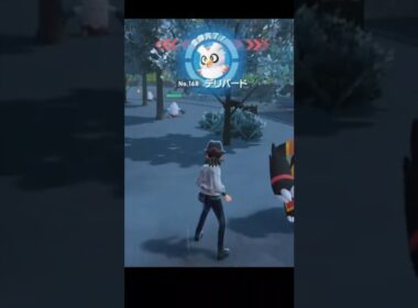 【ポケモンZA攻略】高難易度デリバード生息地（Delibird）
