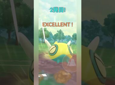 【ポケモンGO】強いノコッチと弱いノココッチ【スーパーリーグ】【バトルリーグ】#shorts #ポケモンgo #goバトルリーグ #gbl #スーパーリーグ #pokemongo