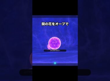 召喚の儀を行うルージュラ #ポケモン #newポケモンスナップ