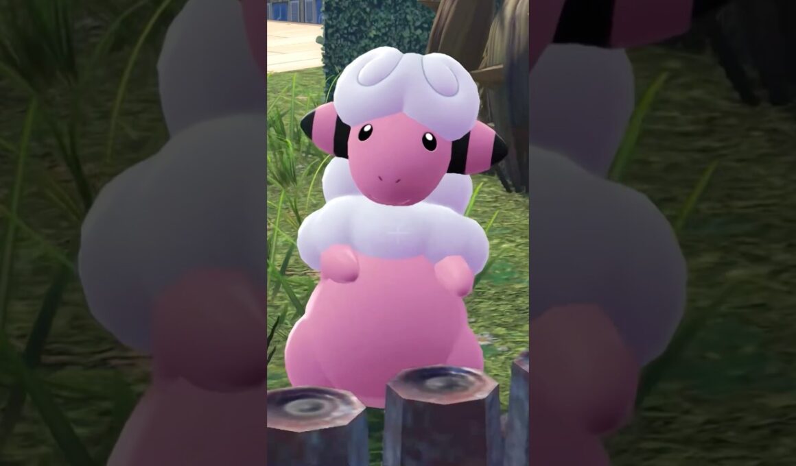 走るモココ【Pokémon LEGENDS Z-A】#ポケモンレジェンズza #pokemonlegendsza #ポケモン #ポケモンza #pokemon