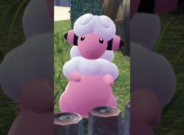 走るモココ【Pokémon LEGENDS Z-A】#ポケモンレジェンズza #pokemonlegendsza #ポケモン #ポケモンza #pokemon