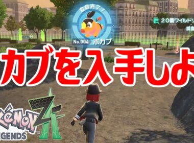 【ポケモンZ-A】ポカブを入手しよう【Pokémon LEGENDS Z-A】
