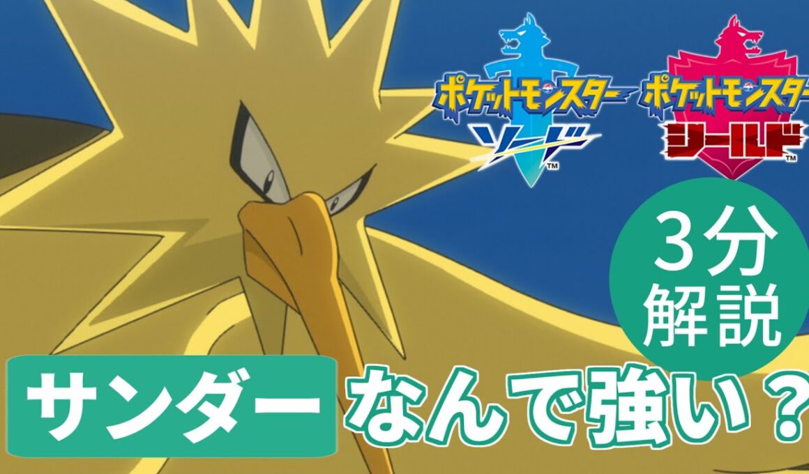 【3分解説】サンダーの強い理由を3分で簡単に説明！【ポケモン剣盾】