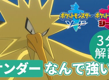 【3分解説】サンダーの強い理由を3分で簡単に説明！【ポケモン剣盾】