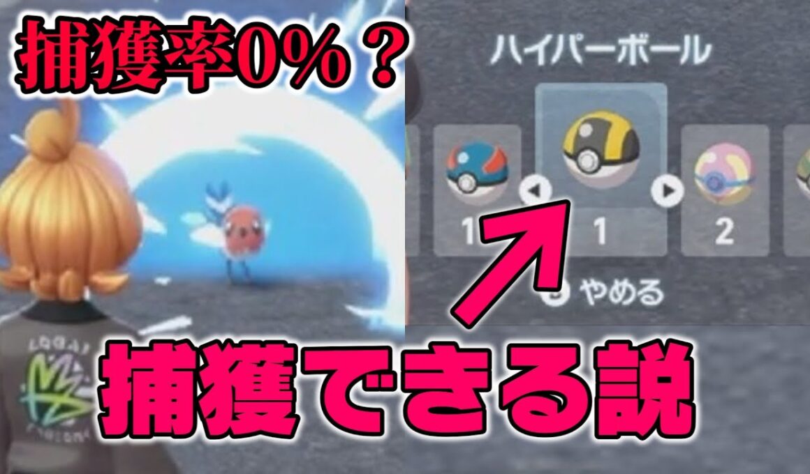 【ポケモンZA】もしも“絶対に捕まらないヤヤコマ”に、バグで入手したハイパーボールを投げたら捕まる説【負けイベント】