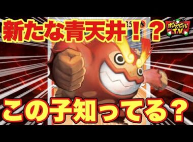 【青天井】ヒヒダルマが強すぎる！そんなに火力出すのは聞いてない！