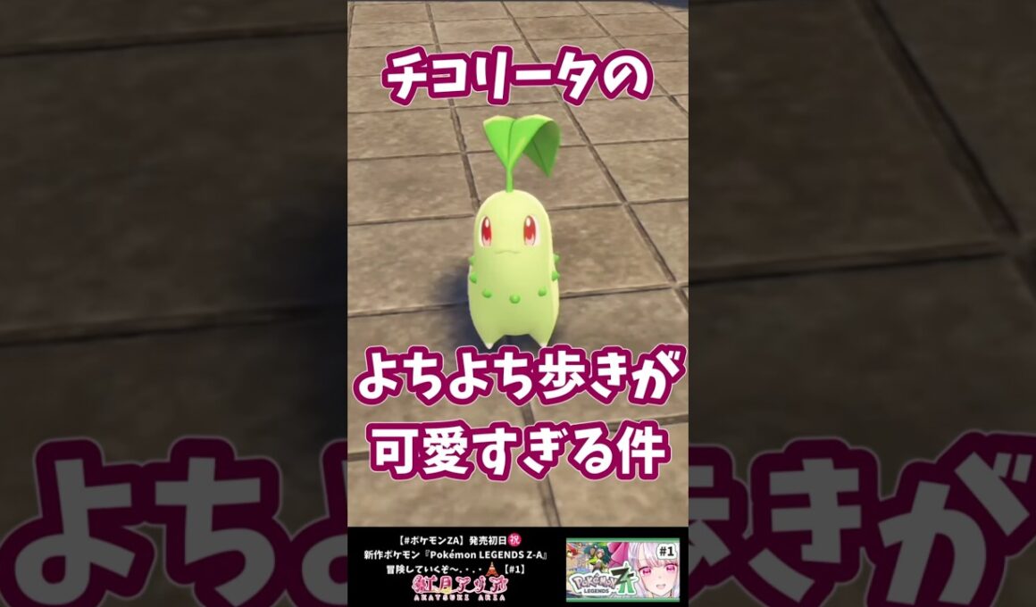 新作ポケモンZAのチコリータが可愛すぎる件 #shorts #ポケモンza