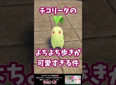 新作ポケモンZAのチコリータが可愛すぎる件 #shorts #ポケモンza