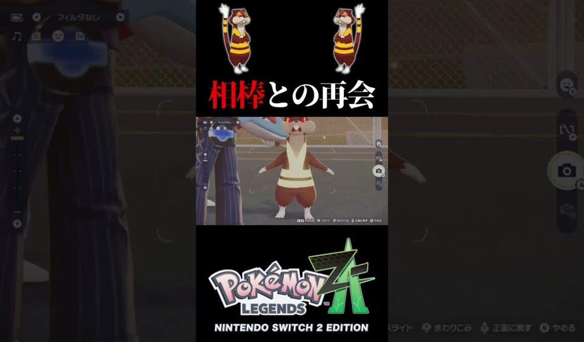 ミルホッグとの再会 #ポケモンZA  #ミルホッグ #shorts #感動 #癒し