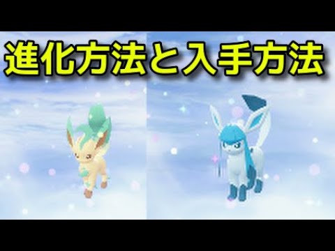 【ポケモンZA】リーフィア グレイシア 入手方法 イーブイ進化方法 こおりのいし 入手場所 『Pokémon LEGENDS Z-A』ポケモンレジェンズZA