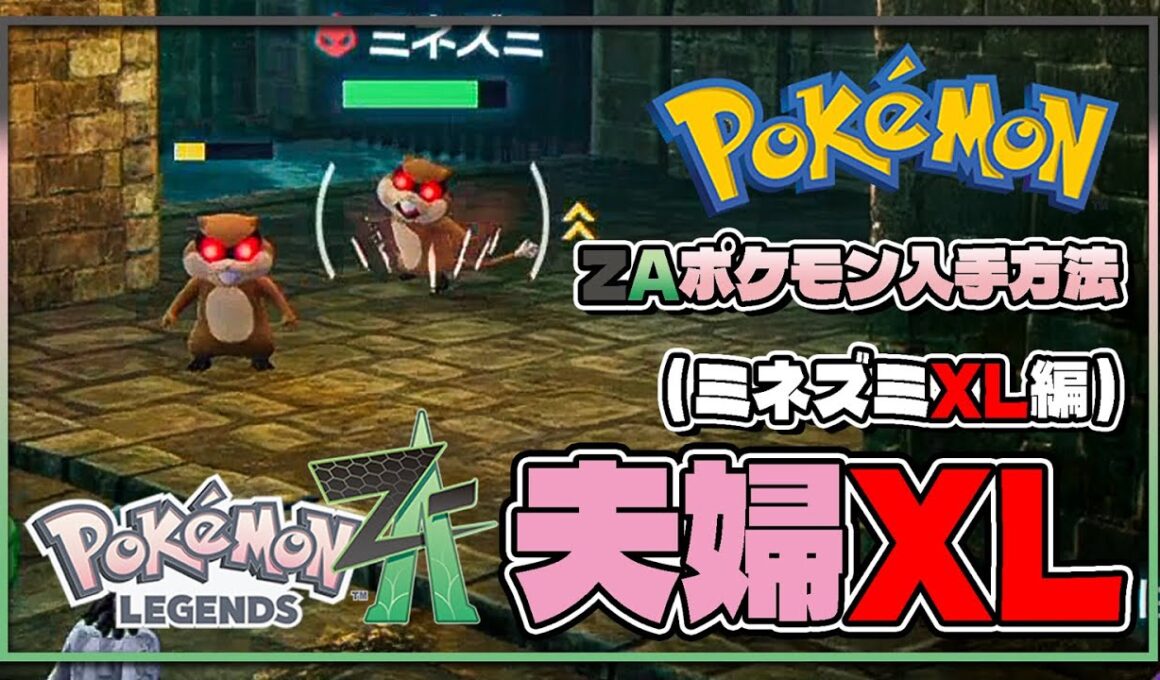 【ポケモンレジェンズZA攻略・生息地図鑑No.027】ミネズミXL生息地（Skwovet）