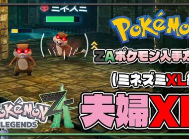 【ポケモンレジェンズZA攻略・生息地図鑑No.027】ミネズミXL生息地（Skwovet）