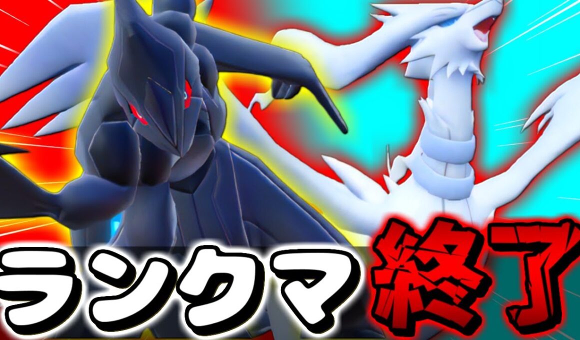【ポケモンSV】レシラム＆ゼクロムの最強戦法でランクマ破壊しようとしたら既に終わってた件ｗｗｗ【 ポケモンSV レシラム ゼクロム  pokemon  色違い 】