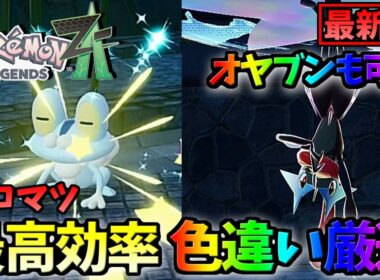 【ポケモンZA】オヤブン色違いケロマツも入手可能！最高効率の色違い厳選法【Pokemon Legends Z-A】