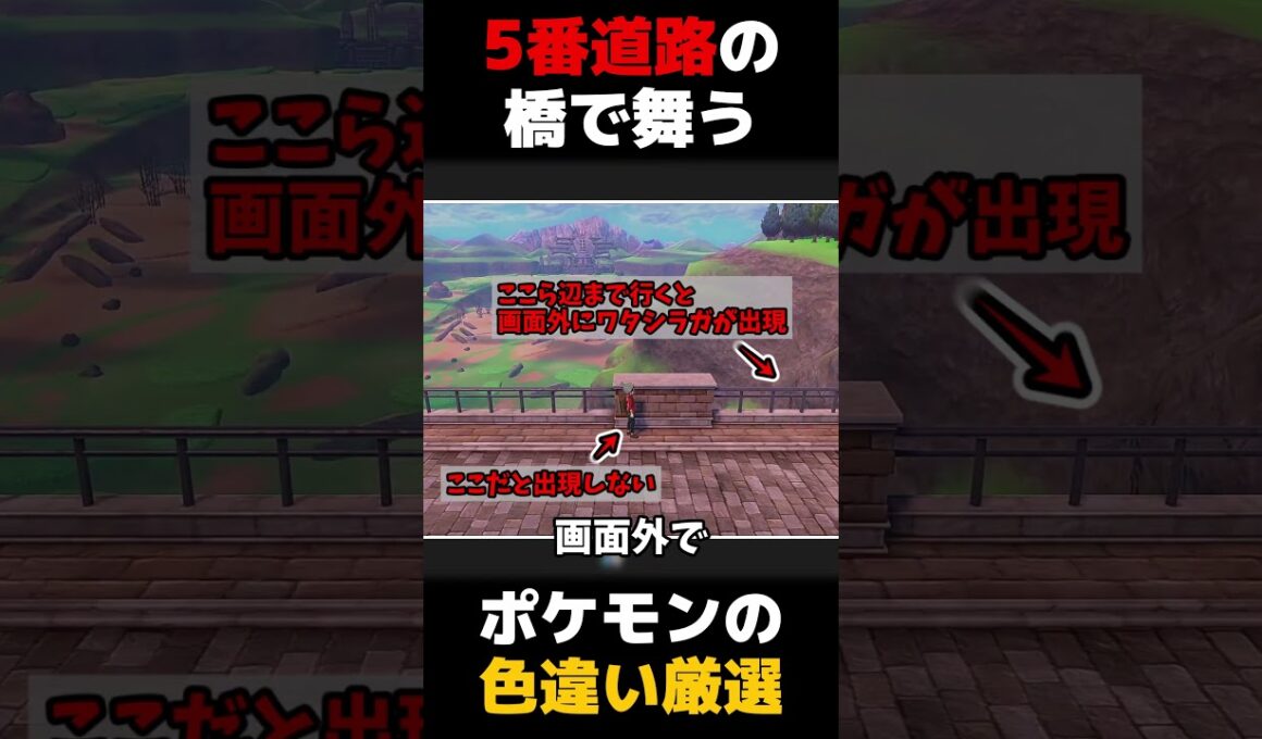 「5番道路の橋」で待ってるとなんか流れてくるポケモンの色違い厳選をします【ポケモン剣盾】