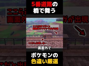 「5番道路の橋」で待ってるとなんか流れてくるポケモンの色違い厳選をします【ポケモン剣盾】