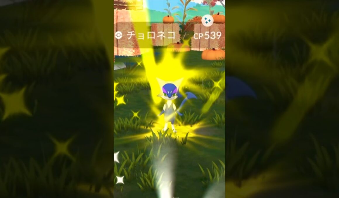 色違いチョロネコ　ハロウィン🎃