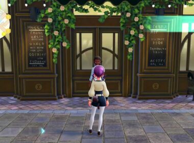 【ネタバレ注意!!ポケモンZA】完全放置色違いミミロル厳選【Legends】