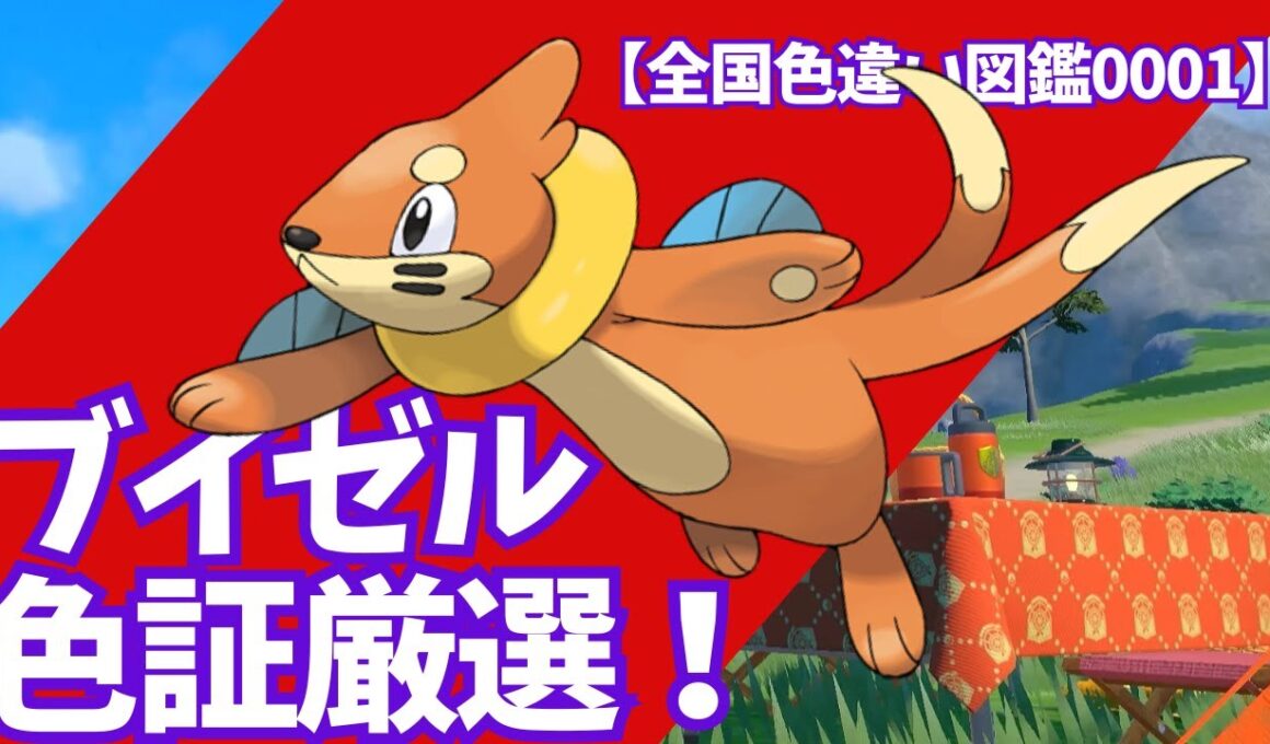 ブイゼル色証厳選【全国色違い図鑑0001】♯ポケモンSV