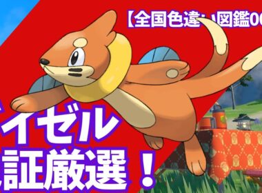 ブイゼル色証厳選【全国色違い図鑑0001】♯ポケモンSV