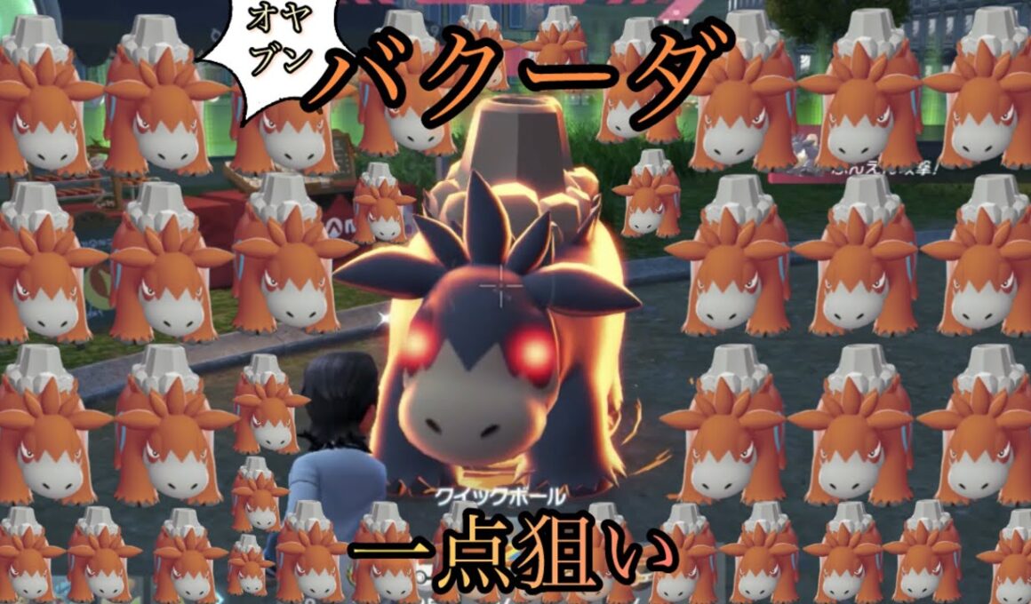 バクーダのオヤブンの色違い何時間でくるかやってみた結果っ【ポケモンレジェンズZA】