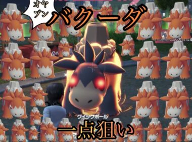 バクーダのオヤブンの色違い何時間でくるかやってみた結果っ【ポケモンレジェンズZA】