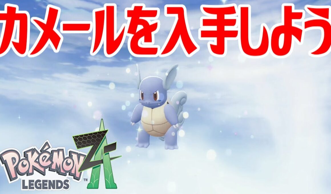 【ポケモンZ-A】カメールを入手しよう 進化入手【Pokémon LEGENDS Z-A】