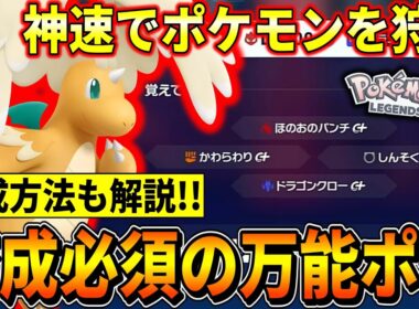 【ポケモンZA】金策や経験値稼ぎに活躍する神速カイリューの育成方法を解説！！！(初心者向け)【ポケモンレジェンズZA/Switch2】