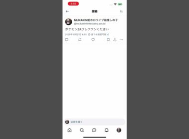 ポケモンZAフレフワンください