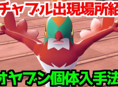 【ポケモンZA】ルチャブル オヤブン個体 出現場所 入手方法  攻略 【Pokémon LEGENDS ジガルデ ポケモン レジェンズ ジガルデ】