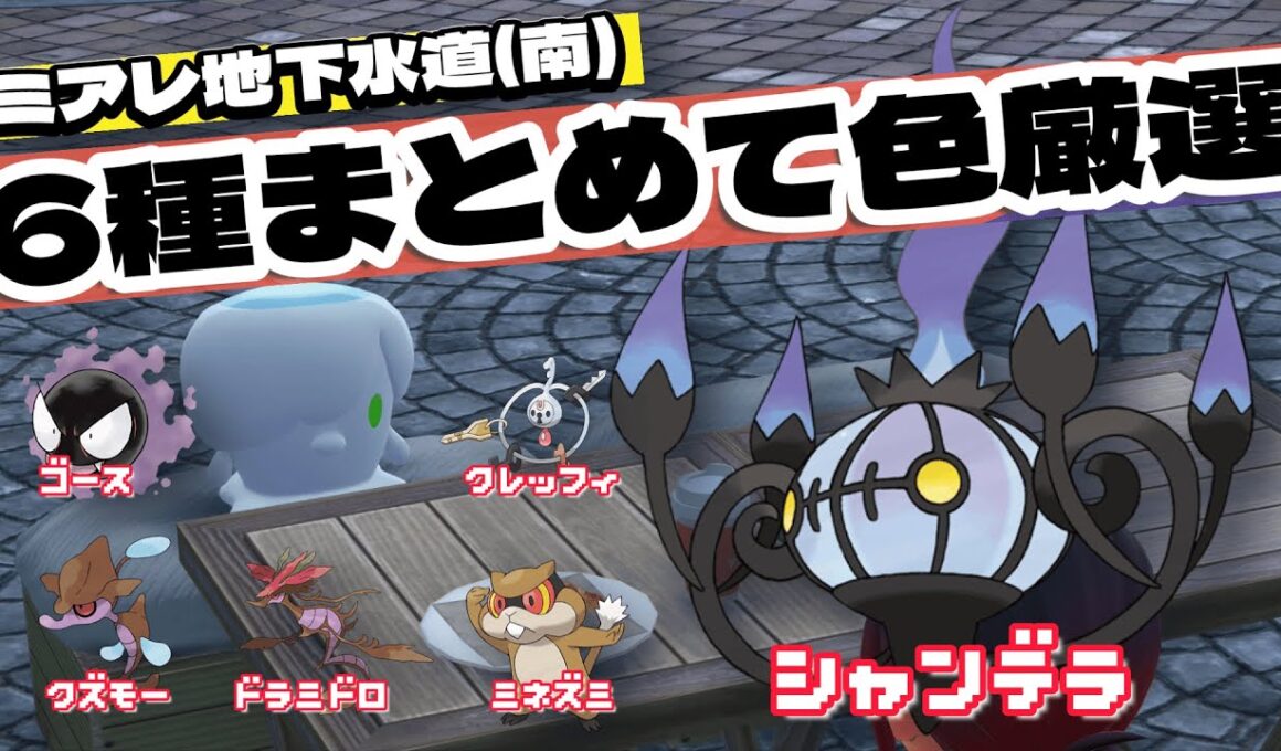 【オヤブン対応】色違いヒトモシついでに6種のポケモンをまとめて色厳選【ポケモンZA】