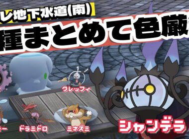 【オヤブン対応】色違いヒトモシついでに6種のポケモンをまとめて色厳選【ポケモンZA】