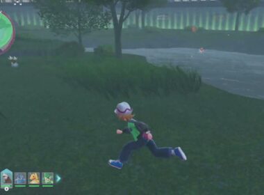 【ポケモンZA】ヒトデマン色違い厳選のやり方（ワイルドゾーン2番）