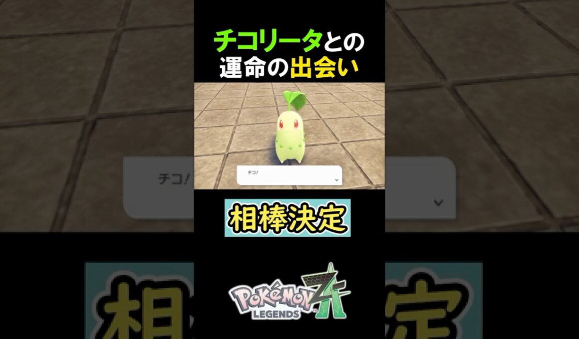 【かわいい】チコリータとの運命の出会い【ポケモンZA】 #Shorts