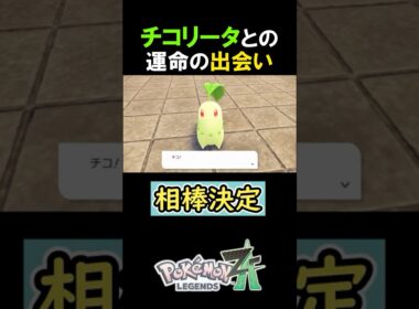 【かわいい】チコリータとの運命の出会い【ポケモンZA】 #Shorts
