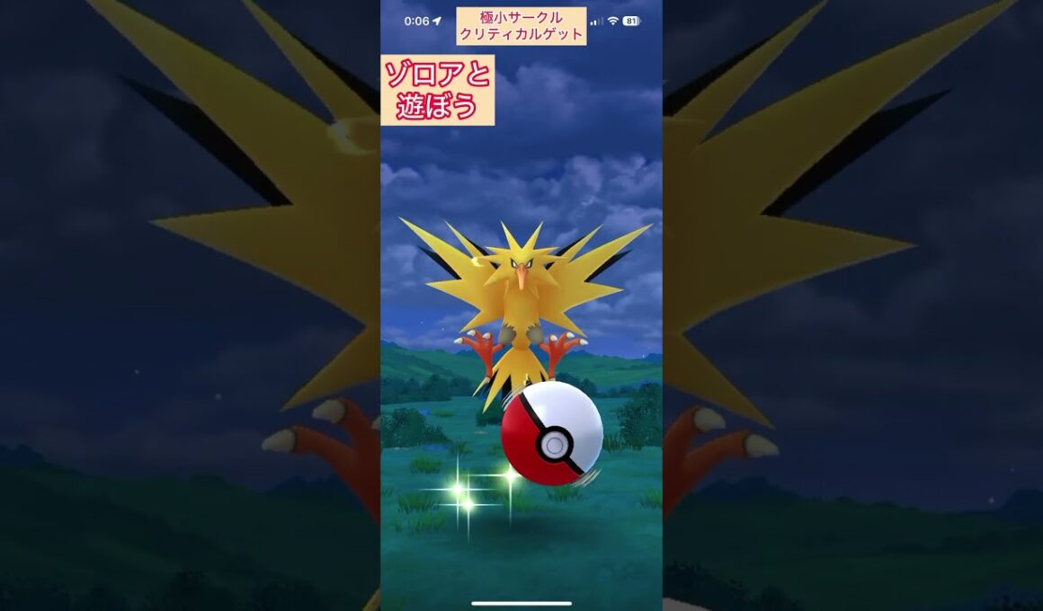 ゾロアで遊ぼう【難易度孤高】色違いサンダー極小サークルクリティカルゲット【ポケモンGO】