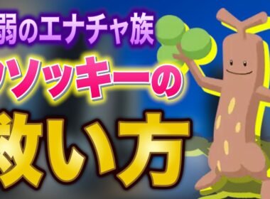 ポケスリ最弱のエナチャ族「ウソッキー」を救いたい【ポケスリコンサル】【ポケモンスリープ】【Pokémon Sleep】【完全攻略】