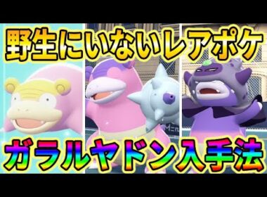 【ポケモンZA】野生に出現しない限定ポケモン「ガラルヤドン」「ガラルヤドラン」「ガラルヤドキング」入手法！【ポケモンレジェンズZA】