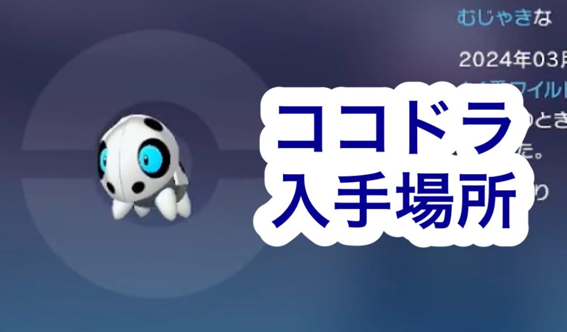 【ポケモンZA】ココドラ入手場所