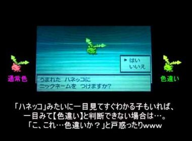 【国際孵化】ポケモンBW2　色ハネッコ誕生!!【よ～へいさんと共同企画】