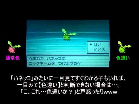 【国際孵化】ポケモンBW2　色ハネッコ誕生!!【よ～へいさんと共同企画】