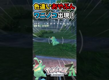 【ポケモンza】厳選してたら色違いおやぶんワニノコ登場で狂喜乱舞！ #ポケモン #色違い #ワニノコ