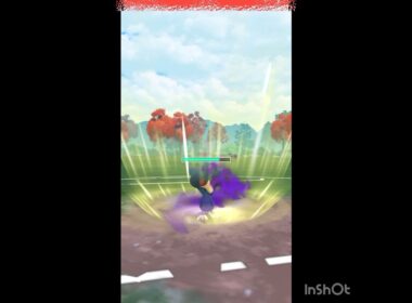 いけ‼️Sヤミカラス💨