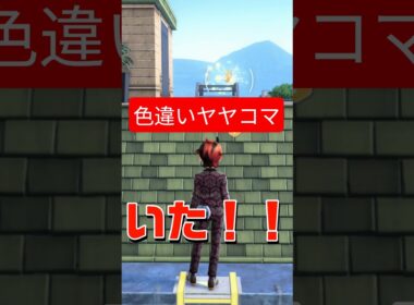 色違いヤヤコマ #ふいしんく #ポケモンza