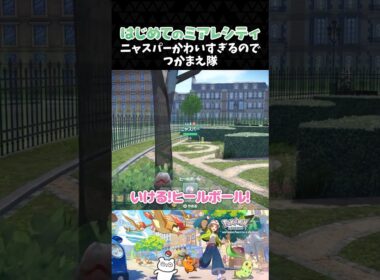 ニャスパーかわいすぎるのでつかまえ隊【ポケモンZA】【Pokémon LEGENDS Z-A】【配信切り抜き】 #Shorts