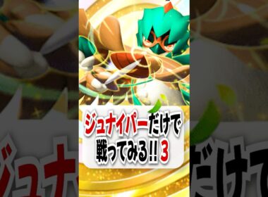 【検証】大会で優勝したジュナイパー単騎で環境のスイクンに挑む！【ポケポケ】