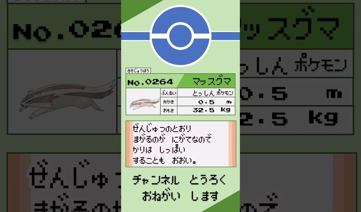 ポケモン　1分紹介　マッスグマ編 #shorts #ゆっくり解説 #ポケモン