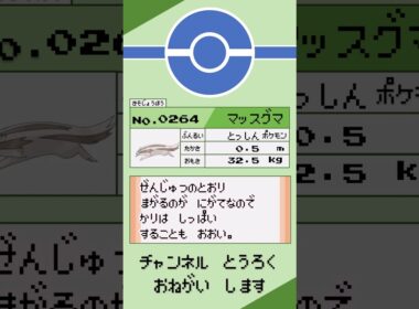 ポケモン　1分紹介　マッスグマ編 #shorts #ゆっくり解説 #ポケモン