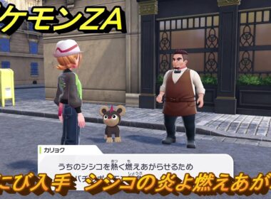 ポケモンＺＡ　おにび入手　シシコの炎よ燃えあがれ　サイドミッション０２６　＃１３３　【Pokémon LEGENDS Z-A】